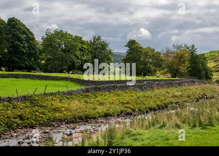 Deepdale, Langstrothdale, Yorkshire Dales National Park. Im Spätsommer umgeben berühmte Trockenmauern die Weiden mit Schafen am Fluss Wharfe Stockfoto