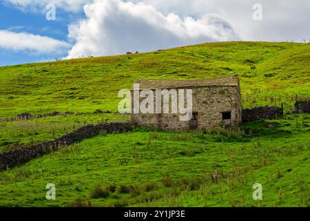 Deepdale, Langstrothdale, Yorkshire Dales National Park. Steinscheune auf der Seite des Hügels im Wharfe River Valley. Stockfoto