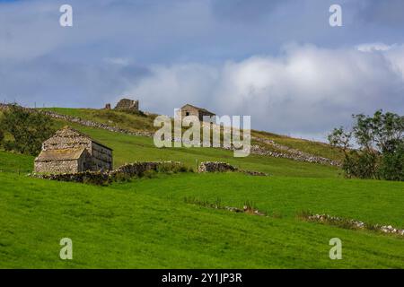 Deepdale, Langstrothdale, Yorkshire Dales National Park. Steinscheunen und ikonische Trockenmauern umgeben Weiden entlang des River Wharfe. Stockfoto