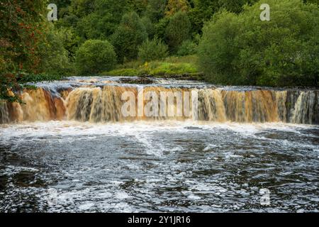 Wain Wath Force, Swaledale, Yorkshire Dales National Park. Der Fernwanderweg von Coast to Coast führt am Ufer des Flusses unterhalb von Cotterby entlang Stockfoto