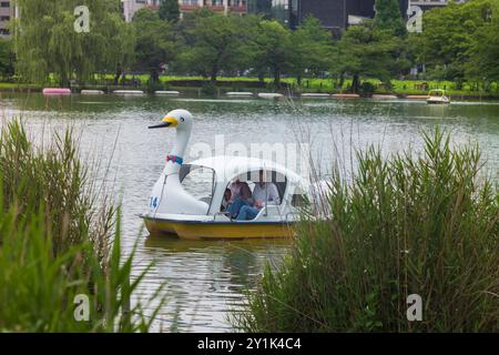 Tokio, Japan, 14. Juni 2024: Bootsrampen am Shinobazuno Pond im Ueno Park in Taito-ku, Tokio, bieten Ruderboote, Radboote und Schwanenboote wie gesehen Stockfoto