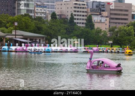 Tokio, Japan, 14. Juni 2024: Bootsrampen am Shinobazuno Pond im Ueno Park in Taito-ku, Tokio, bieten Ruderboote, Radboote und Schwanenboote wie gesehen Stockfoto