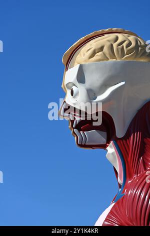 Profil des menschlichen Kopfes oder Porträt von Damien Hirst, Detail der Skulptur oder Statue bekannt als Hymn, installiert in Aix-en-Provence Frankreich Stockfoto