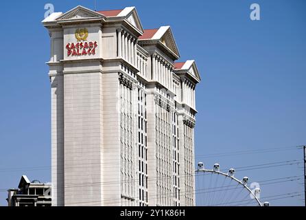 Las Vegas, USA. September 2024. LAS VEGAS, NEVADA - 6. SEPTEMBER: Der Caesars Palace wird am 6. September 2024 in Las Vegas, Nevada, besichtigt. (Foto: Bryan Steffy/SIPA USA) Credit: SIPA USA/Alamy Live News Stockfoto