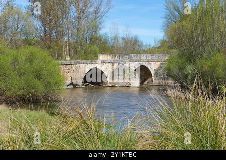 Alte Steinbrücke über einen Fluss, umgeben von Bäumen und Gräsern an einem sonnigen Frühlingstag, mittelalterliche Brücke von Andalusien in Berlanga de Duero, Soria, Castil Stockfoto