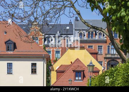 Windows Stockfoto