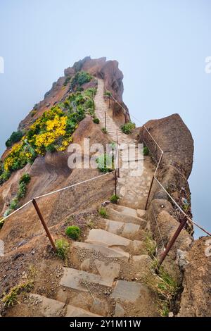 Der Wanderweg zwischen Pico de Arieiro und Pico Ruivo in Wolken, Madeira, Portugal Stockfoto