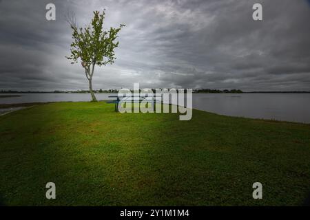 „Ein friedlicher Zufluchtsort am See – wo grünes Gras auf einen schattigen Baum trifft und ein Picknicktisch wartet, der Sie einlädt, sich zu entspannen und die ruhige Schönheit zu genießen Stockfoto