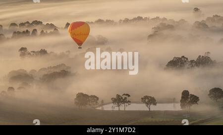 Ein Heißluftballon, der am frühen Morgen über nebelige Weinberge im Yarra Valley, Victoria, Australien, fliegt Stockfoto