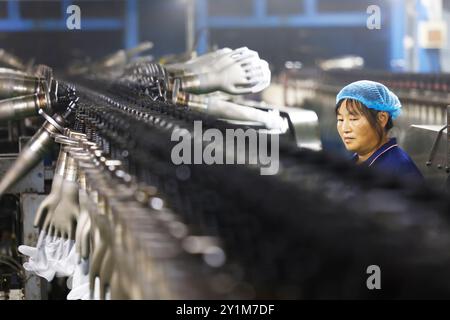 SUQIAN, CHINA - 7. SEPTEMBER 2024 - Ein Arbeiter produziert in einer Werkstatt eines ausländischen Fonds Einweg-PVC-Handschuhe für den nationalen und internationalen Markt Stockfoto