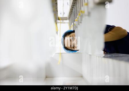 SUQIAN, CHINA - 7. SEPTEMBER 2024 - Ein Arbeiter produziert in einer Werkstatt eines ausländischen Fonds Einweg-PVC-Handschuhe für den nationalen und internationalen Markt Stockfoto