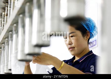 SUQIAN, CHINA - 7. SEPTEMBER 2024 - Ein Arbeiter produziert in einer Werkstatt eines ausländischen Fonds Einweg-PVC-Handschuhe für den nationalen und internationalen Markt Stockfoto