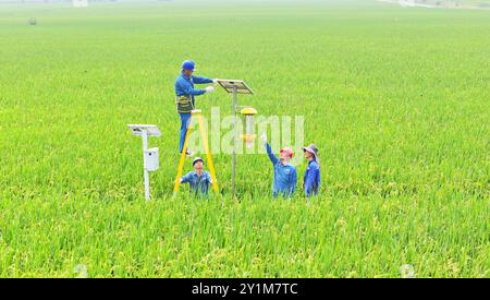 CHUZHOU, CHINA - 7. SEPTEMBER 2024 - Arbeiter inspizieren eine intelligente landwirtschaftliche Überwachungsausrüstung und führen Landwirte dazu, sie in Chuzhou, an, zu verwenden Stockfoto