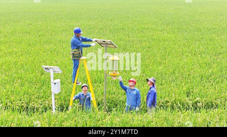 CHUZHOU, CHINA - 7. SEPTEMBER 2024 - Arbeiter inspizieren eine intelligente landwirtschaftliche Überwachungsausrüstung und führen Landwirte dazu, sie in Chuzhou, an, zu verwenden Stockfoto