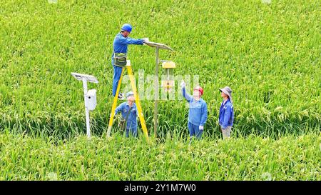 CHUZHOU, CHINA - 7. SEPTEMBER 2024 - Arbeiter inspizieren eine intelligente landwirtschaftliche Überwachungsausrüstung und führen Landwirte dazu, sie in Chuzhou, an, zu verwenden Stockfoto