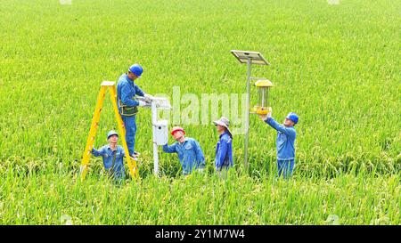 CHUZHOU, CHINA - 7. SEPTEMBER 2024 - Arbeiter inspizieren eine intelligente landwirtschaftliche Überwachungsausrüstung und führen Landwirte dazu, sie in Chuzhou, an, zu verwenden Stockfoto