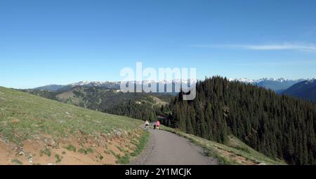 Blick vom Hurricane Ridge auf die Olympic Mountains Stockfoto