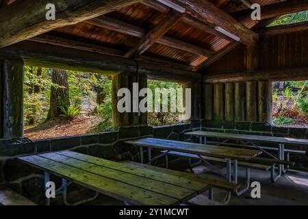 Rustikaler Picknickpavillon im Park, erbaut vom Civilian Conservation Corps in den 1930er Jahren im Twanoh State Park im US-Bundesstaat Washington Stockfoto