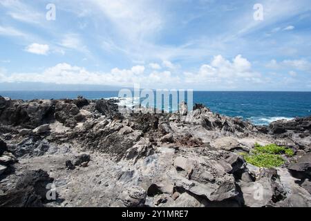 Zerklüftete Küste an der Spitze des Makaluapuna Point in West Maui, Hawaii - Lava Cliffs of Dragon's Point auf dem Kapalua Coastal Trail Stockfoto