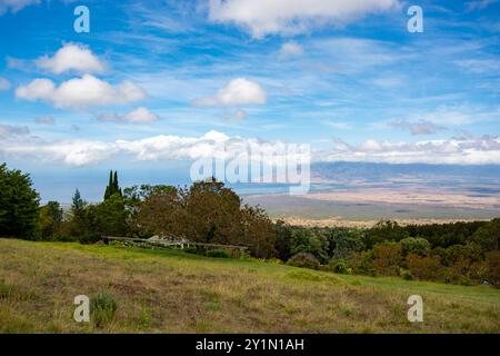 Ali'i Kula Lavender Farm in Maui, Hawaii Stockfoto