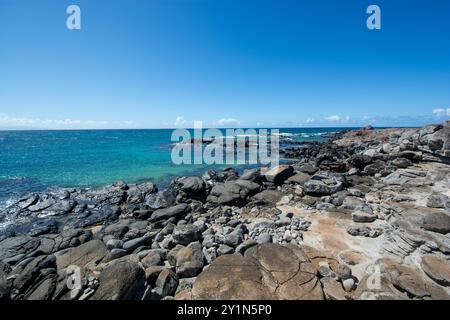 Ho'okipa Beach Park in Maui Hawaii, bekannter Windsurf- und Surfort für Wind, große Wellen und große Schildkröten, die auf Sand trocknen. Schnorchelparadies für Cor Stockfoto