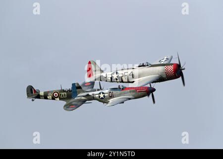 Goodwood, West Sussex, Großbritannien. September 2024. Der letzte Tag beginnt mit einer Air-Show Spitfire, P51 Mustang & P47 Thunderbolt im Goodwood Revival in Goodwood, West Sussex, Großbritannien. © Malcolm Greig/Alamy Live News Stockfoto