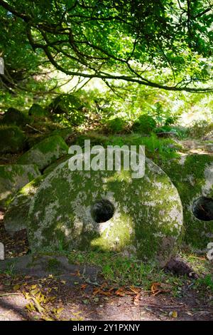 Peak District National Park Großbritannien. Alte moosbedeckte Mühlsteine in einer ruhigen Waldlandschaft. Stockfoto