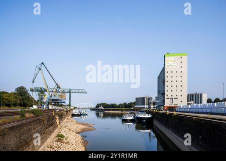 RWZ-Getreidesilo am Rheinhafen Niehl, Lagerplatz, Köln, Deutschland. RWZ Getreidesilo im Hafen Niehl, Lagerhauskai, Köln, Deutschland. Stockfoto