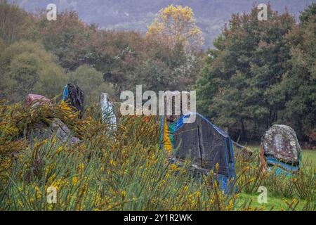 O Rexo Ecospace, malerische und skulpturale Intervention des Künstlers Agustín Ibarrola auf einen natürlichen Raum, Allariz, Ourense, Galicien, Spanien. Stockfoto