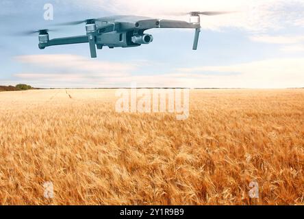 Eine Drohne zur Kontrolle eines Weizenfeldes - Konzept des Einsatzes von Drohnen und Technologie in der Landwirtschaft Stockfoto