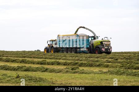 Erntesilage, Cherry Willingham, Lincoln, Lincolnshire, England, UK Stockfoto