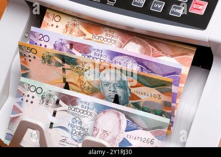 Barbadianisches Geld - Dollar in der Zählmaschine Stockfoto