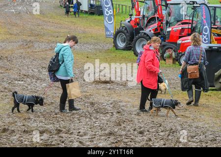 Dorchester, Dorset, Großbritannien. September 2024. Wetter in Großbritannien: Besucher der Dorset County Show in Dorchester in Dorset waten durch dicken Schlamm, nachdem der Regen gestern und über Nacht den Boden gesättigt hat. Bildnachweis: Graham Hunt/Alamy Live News Stockfoto