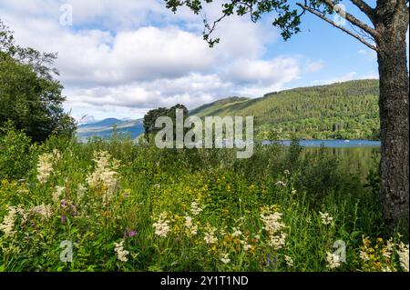 Kenmore und Loch Tay in Perth und Kinross, Schottland, im Sommer mit blauem Himmel und weißen Wolken Stockfoto