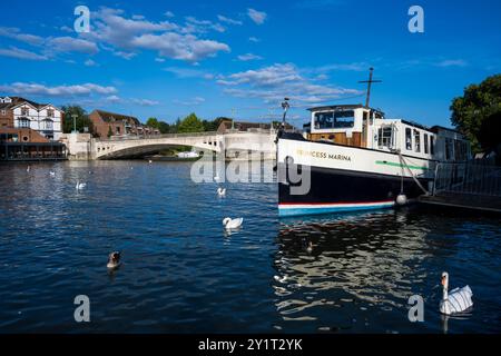 Schwäne und Prinzessin Marina, Boot, mit Caversham Bridge, Themse, Reading, Berkshire, England, Großbritannien, GB. Stockfoto