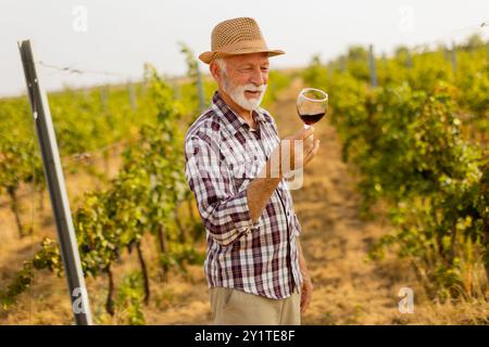 Der Hausmeister hält ein Glas tiefen Rotweins und lächelt, während er zwischen den Reihen von Weinreben steht, die vom sanften Leuchten der untergehenden Sonne beleuchtet werden Stockfoto