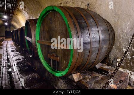 Plzen, Tschechische Republik - 17. August 2024: Holzfässer und Fässer im Pilsner Urquell Plzensky Prazdroj Brauerei Bierkeller. Stockfoto