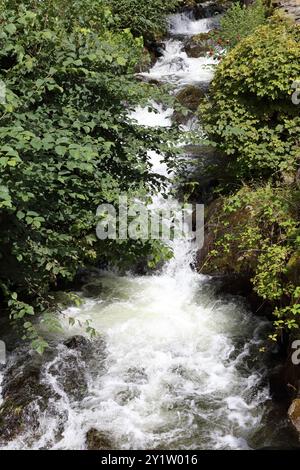 Schnell fließender Gebirgsstrom mit weißem Wasser. Stockfoto