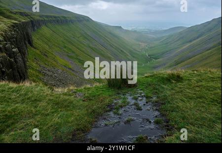 High Cup Gill vom Pennine Way auf dem High Cup Nick bei Dufton, Appleby-in-Westmorland, Cumbria Stockfoto