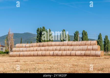 Ein großer Stapel Heuballen in der toskanischen Landschaft, Bientina, Pisa, Italien Stockfoto