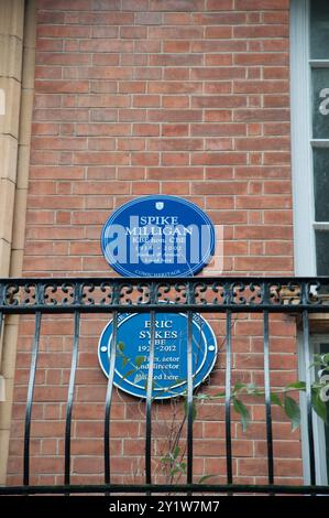 Gedenktafel an dem Gebäude, in dem Spike Milligan lebte (1918–2002), Mansion Block, Bayswater, City of Westminster, London, England, Vereinigtes Königreich Stockfoto