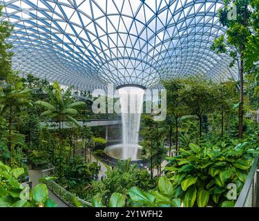 Singapur - 13. Juni 2024 : The Rain Vortex, ein 40 m hoher Indoor-Wasserfall im Jewal Changi Airport in Singapur. Reisekonzept Stockfoto