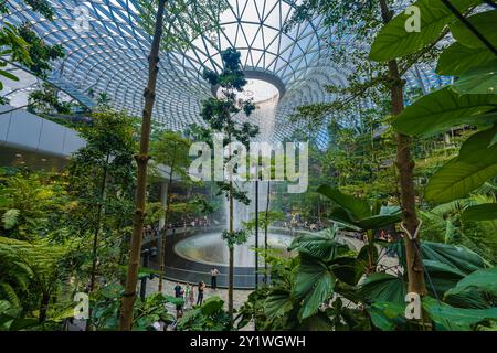 Singapur - 13. Juni 2024 : The Rain Vortex, ein 40 m hoher Indoor-Wasserfall im Jewal Changi Airport in Singapur. Reisekonzept Stockfoto