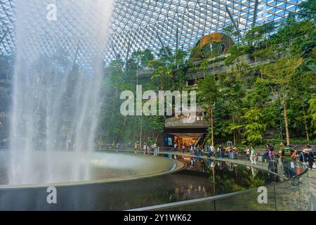 Singapur - 13. Juni 2024 : The Rain Vortex, ein 40 m hoher Indoor-Wasserfall im Jewal Changi Airport in Singapur. Reisekonzept Stockfoto