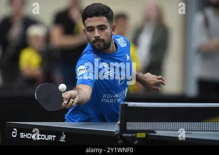 Tischtennis-Bundesliga 4. Spieltag BV Borussia 09 Dortmund - ASC Gruenwettersbach am 08.09.2024 in der Bruegmann-Sporthalle in Dortmund GUILHERME TEODORO ( Gruenwettersbach ) Foto: Revierfoto Stockfoto