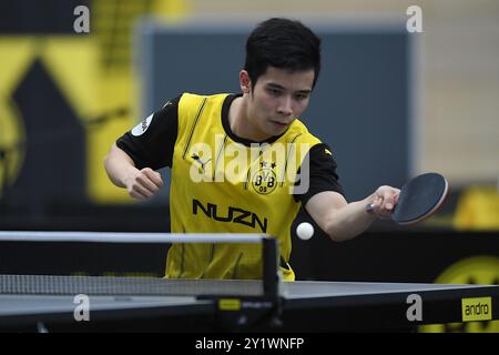 Tischtennis-Bundesliga 4. Spieltag BV Borussia 09 Dortmund - ASC Gruenwettersbach am 08.09.2024 in der Bruegmann-Sporthalle in Dortmund YONGYIN LI ( Dortmund ) Foto: Revierfoto Stockfoto