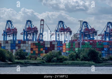 Hamburg - 08 10 2024: Blick von der Elbe auf gestapelte Container und Containerbrücken am Burchardkai im Hamburger Hafen Stockfoto