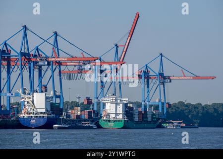 Hamburg - 09 05 2024: Blick auf zwei Containerschiffe im Hamburger Hafen am Burchardkai-Terminal Stockfoto