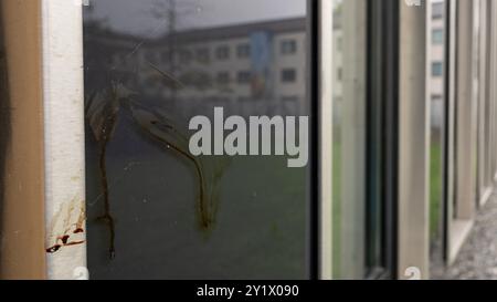 München, Deutschland. September 2024. An einem mit Holz verdeckten Fenster an einem Gebäude der Technischen Universität München neben dem israelischen Generalkonsulat ist eine Blutspur zu sehen. Nachdem am vergangenen Donnerstag ein bewaffneter Mann von der Polizei erschossen wurde, hat das Bayerische Landeskriminalamt den Tatort inspiziert. Quelle: Stefan Puchner/dpa/Alamy Live News Stockfoto