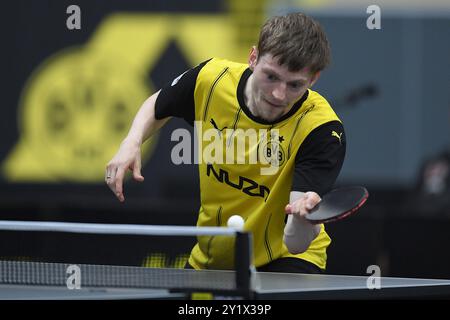 Tischtennis-Bundesliga 4. Spieltag BV Borussia 09 Dortmund - ASC Gruenwettersbach am 08.09.2024 in der Bruegmann-Sporthalle in Dortmund ANDERS LIND ( Dortmund ) Foto: Revierfoto Stockfoto